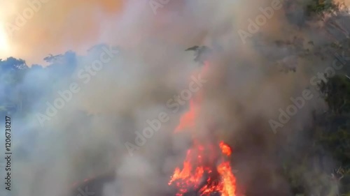 Wallpaper Mural Aerial View of the Amazon in Flames Torontodigital.ca