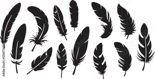 Feathers silhouettes