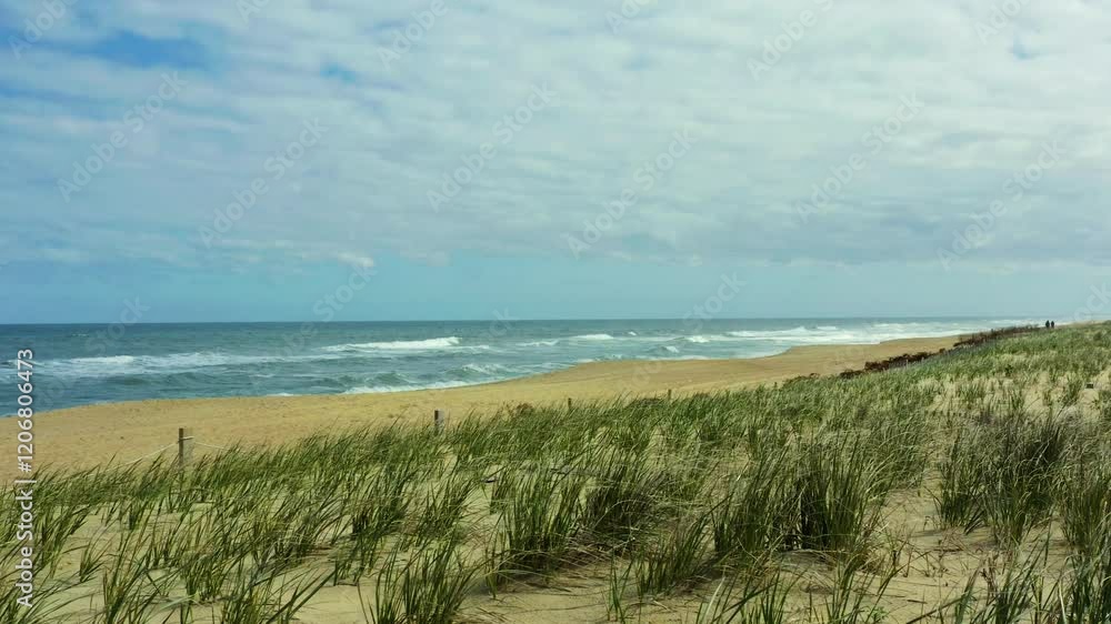 Drone low dolly above Virginia Beach iconic shoreline with golden sands and serene blue ocean waters and grass blowing in wind Drone low dolly above Virginia Beach iconic shoreline with golden sands and serene blue ocean waters and grass blowing in wind