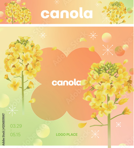 canola