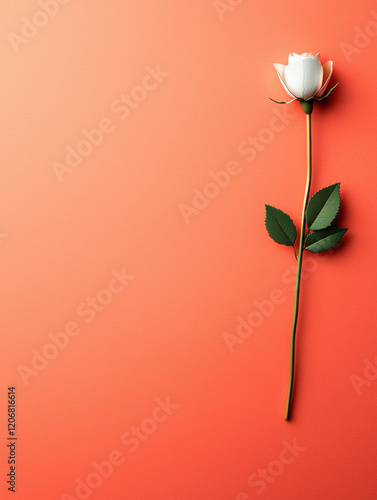 White rose on vibrant orange background with space for text, evoking elegance, Blank background space for text