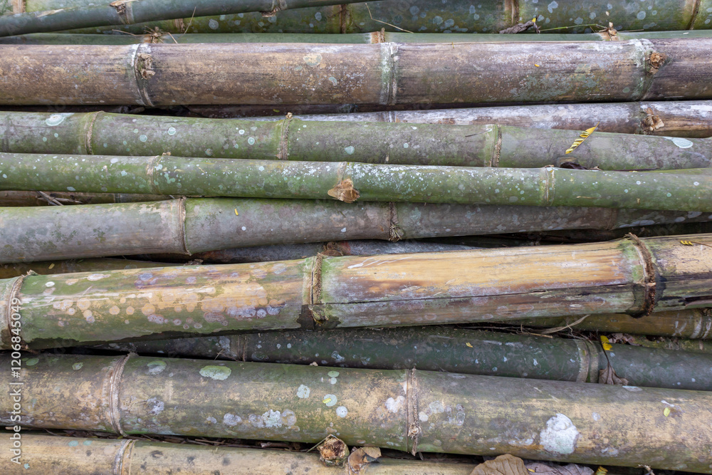 Pile of Bamboo Sticks in Rural Asian Field Pile of Bamboo Sticks in Rural Asian Field