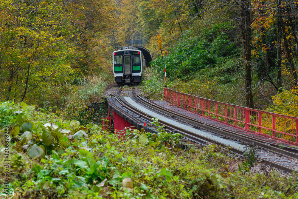 Fototapeta premium 只見線と鉄橋