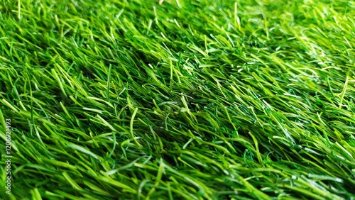 Green grass texture. Close-up of the surface of a green lawn. Fresh grass carpet. Green field wallpaper photo