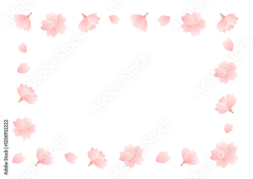 春の桜の花のフレームのベクターイラスト02
