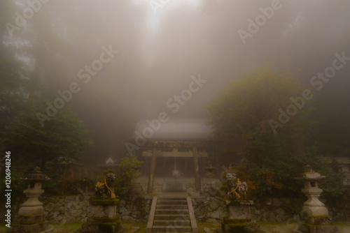 神秘的な高天彦神社 photo