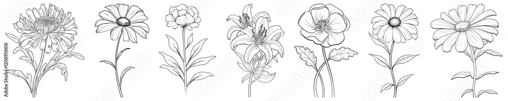 Drawing flower illustration png cut out element set, transparent background Drawing flower illustration png cut out element set, transparent background
