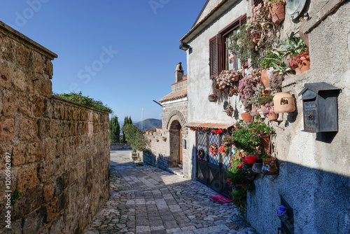 Fototapeta Naklejka Na Ścianę i Meble -  A narrow street between the houses of old Caserta, a medieval village in Italy.