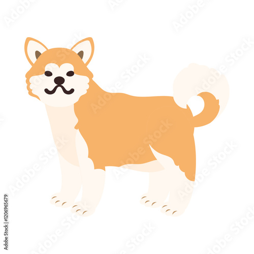 秋田犬。フラットなベクターイラスト。
Akita (dog breed). Flat vector illustration.