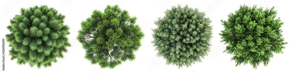 Top view tree png cut out element set, transparent background