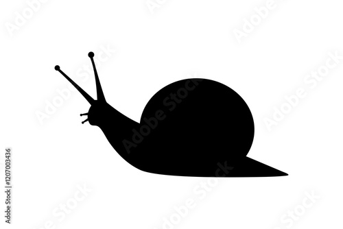 black snail icon, flat vector illustration isolated on white background