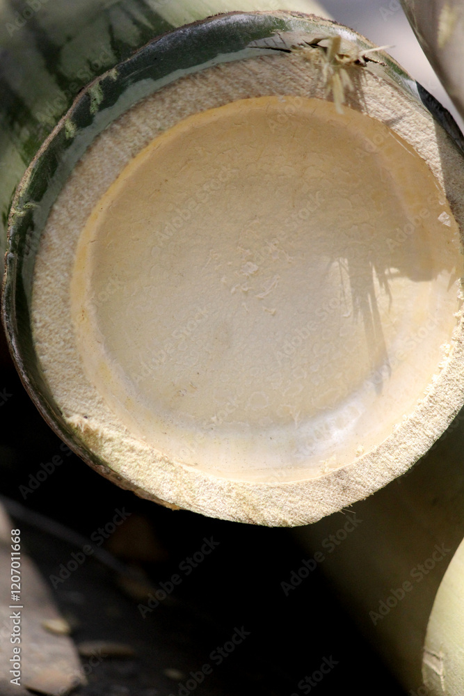 A close-up view of stacked bamboo poles, showcasing their natural texture and earthy tones. A close-up view of stacked bamboo poles, showcasing their natural texture and earthy tones.