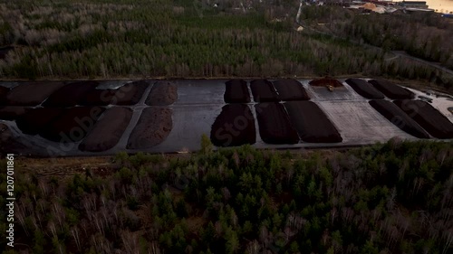 Peat harvesting site surrounded by forest at dawn photo