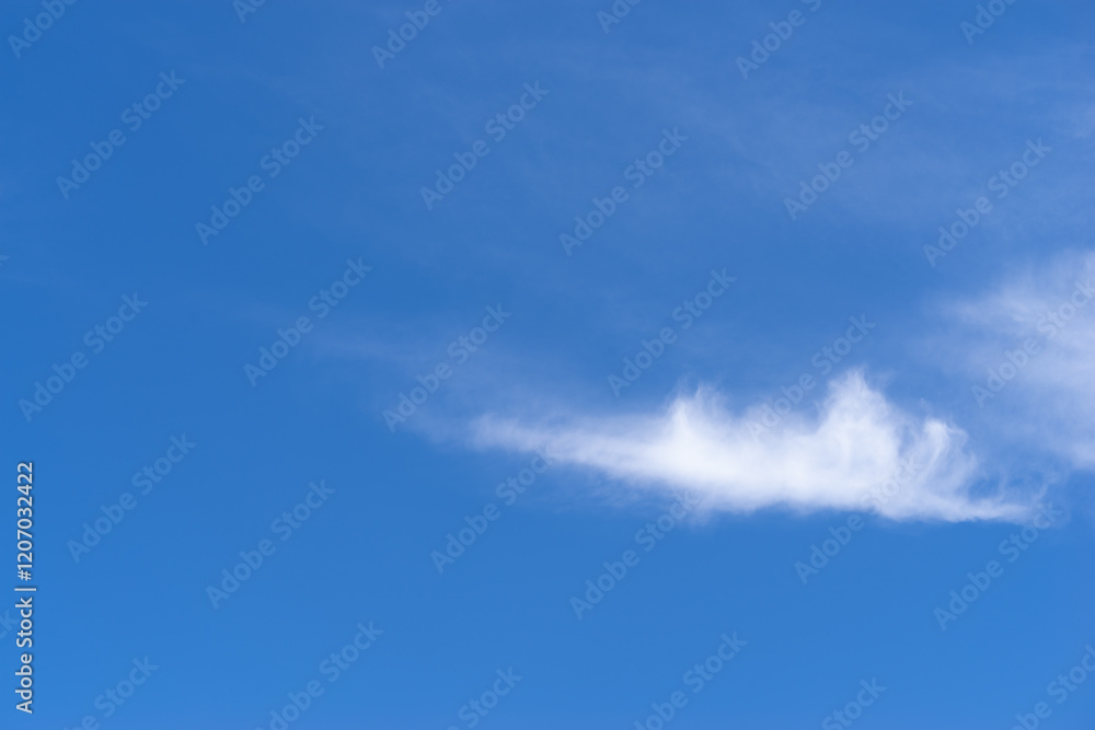 見上げると綺麗な青い空 見上げると綺麗な青い空