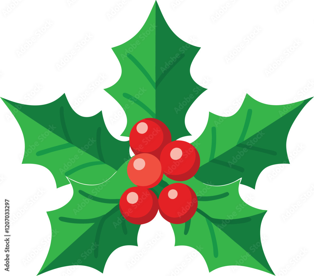 holly berries on a white background holly berries on a white background