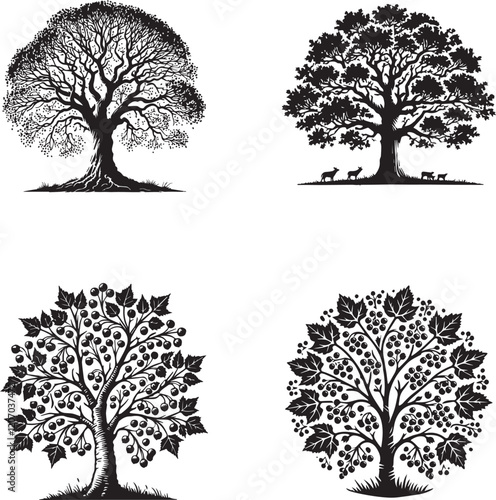 Sycamore Tree Silhouettes Collection - Detailed Vector Illustrations