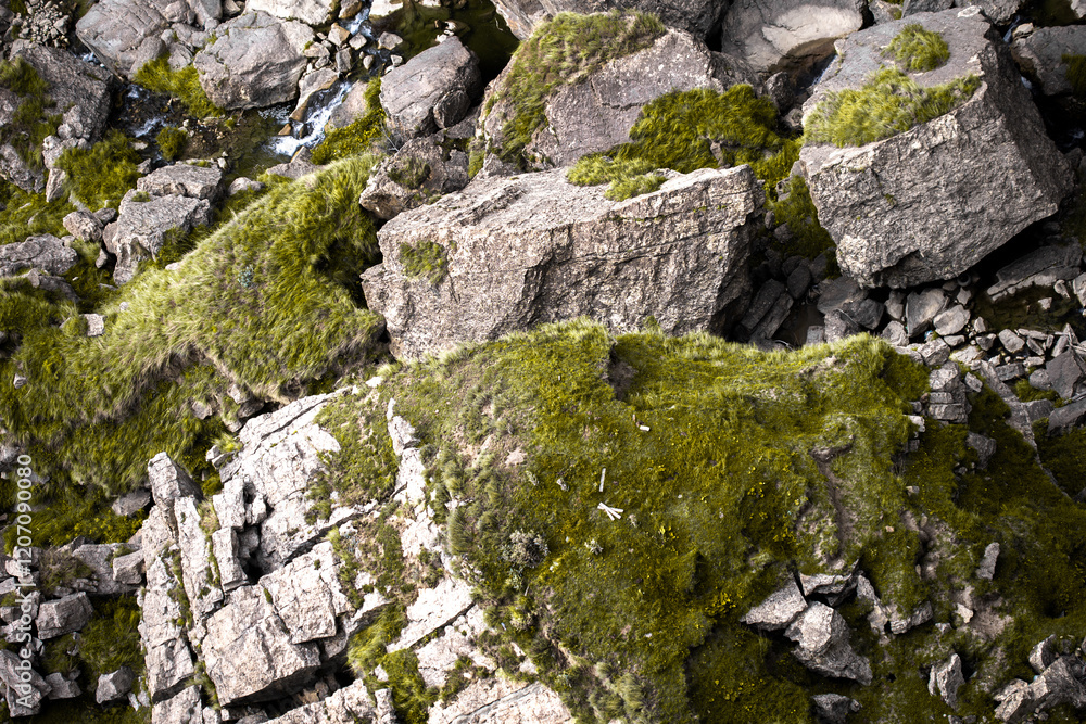 Rocks, rocks overgrown with fresh green grass, mountain gorge Rocks, rocks overgrown with fresh green grass, mountain gorge