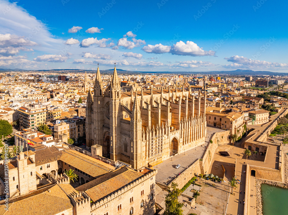 Obraz premium Palma de Mallorca, Port Marina Majorca Cathedral 