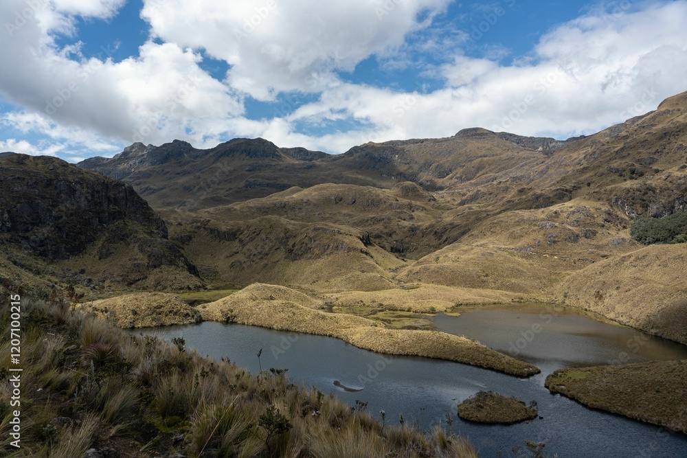 Andes Mountains and Lake in Cajas National Park Andes Mountains and Lake in Cajas National Park