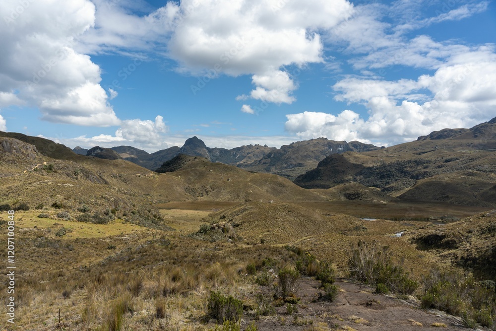 Scenic view of Cajas National Park with rolling hills. Scenic view of Cajas National Park with rolling hills.