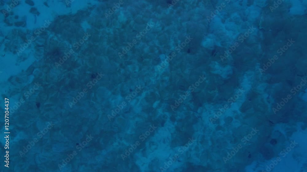 Sea background, sea surface with water movement. Adriatic sea view from above Sea background, sea surface with water movement. Adriatic sea view from above