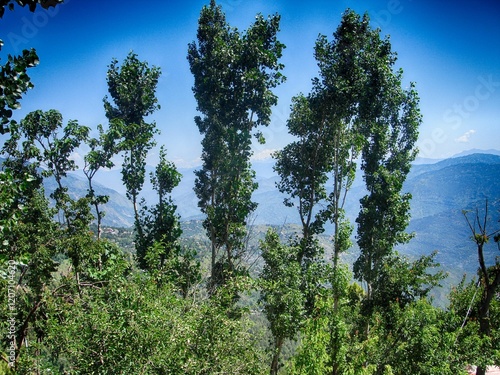 Tree, Blue Sky and Mountain Natural Beauty a Village of Murree Pakistan photo