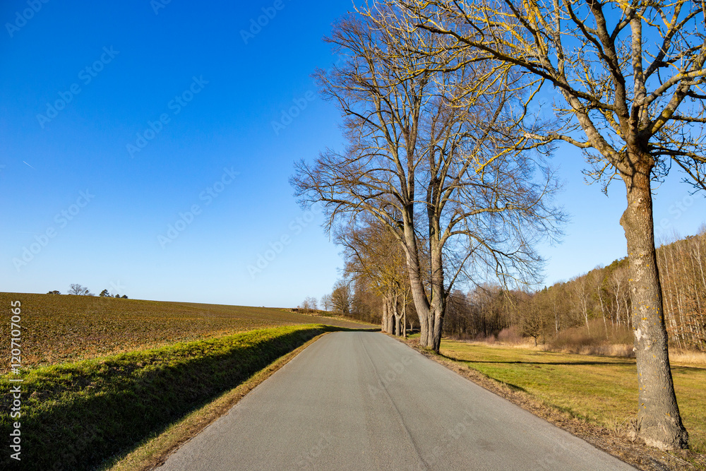 A paved country road in Central Europe in early spring.