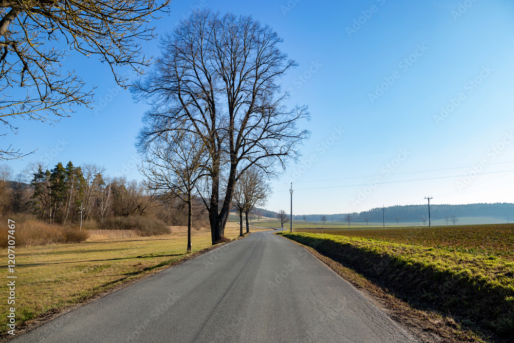 A paved country road in Central Europe in early spring.
