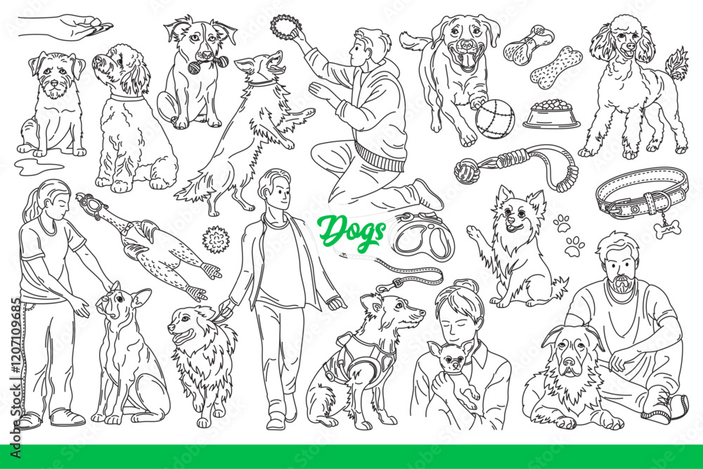 Dogs of different breeds with toys for fun walks and energetic spending time. Stick and rope for dogs and puppies walking together with owners in park in warm summer weather. Hand drawn. Dogs of different breeds with toys for fun walks and energetic spending time. Stick and rope for dogs and puppies walking together with owners in park in warm summer weather. Hand drawn.