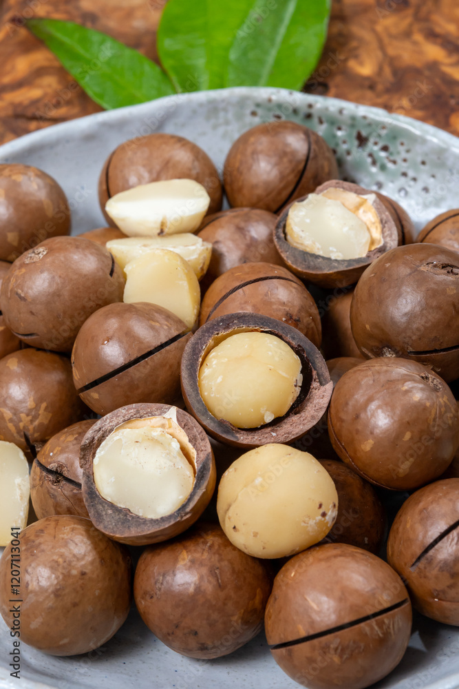 Obraz premium Australian Queensland macadamia nuts, or bush, maroochi, bauple nut, with sawn nutshell, fresh harvest