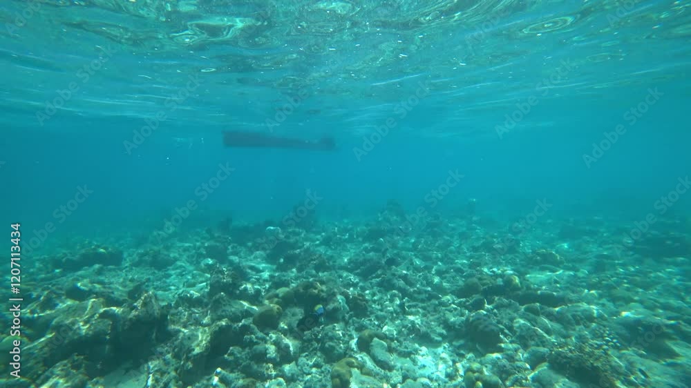 A living reef with different fish and corals. In places, the fish are colored, black and white, yellow, flocks and many others. The boundary of the island's reef and the open ocean. Colored corals A living reef with different fish and corals. In places, the fish are colored, black and white, yellow, flocks and many others. The boundary of the island's reef and the open ocean. Colored corals