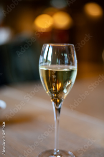 Tasting sparkling white wine, traditional champagne method making of cremant in caves on Moselle river valley in Luxembourg, glass of wine photo