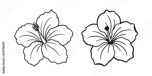 hibiscus flower line art, black outline, vector and illustration, line art and outline