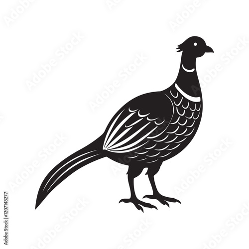 pheasant silhouette, black and white silhouette, vector and illustration