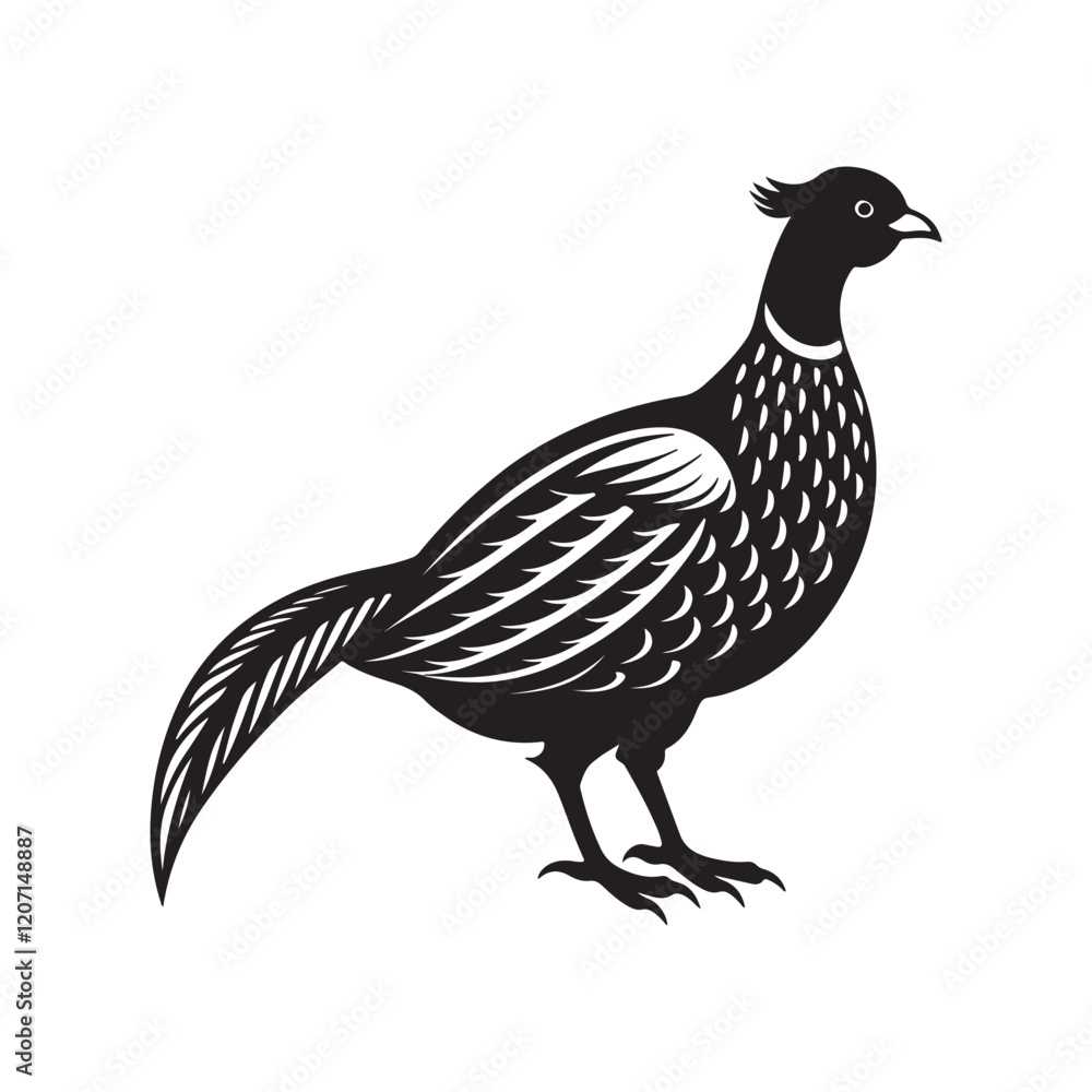 Fototapeta premium pheasant silhouette, black and white silhouette, vector and illustration