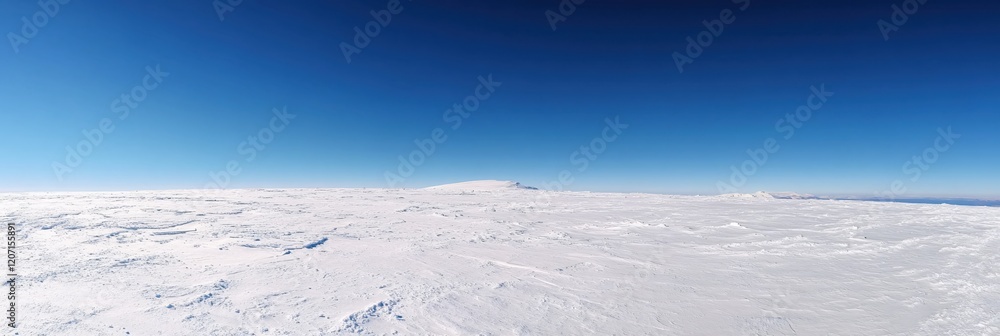 Serene Winter Landscape Vast Snow Covered Plains Under a Clear Blue Sky Mountain Vista Serene Winter Landscape Vast Snow Covered Plains Under a Clear Blue Sky Mountain Vista