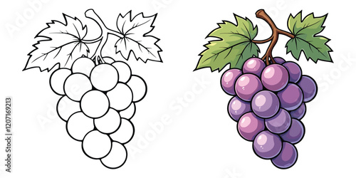 Grapes Line Art Vector Illustration Black and White with Coloring Sample. Bold and Easy Food, Fruits, Sweets, Drinks, Dessert, and Snacks Coloring Pages for Adults and Kids