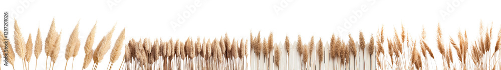 Expansive Golden Wheat Field Under Bright Summer Sky in Scenic Rural Landscape Expansive Golden Wheat Field Under Bright Summer Sky in Scenic Rural Landscape
