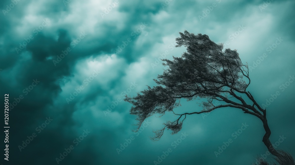 A solitary tree bends against strong winds under a dramatic, moody sky filled with dark, stormy clouds.
A solitary tree bends against strong winds under a dramatic, moody sky filled with dark, stormy clouds.