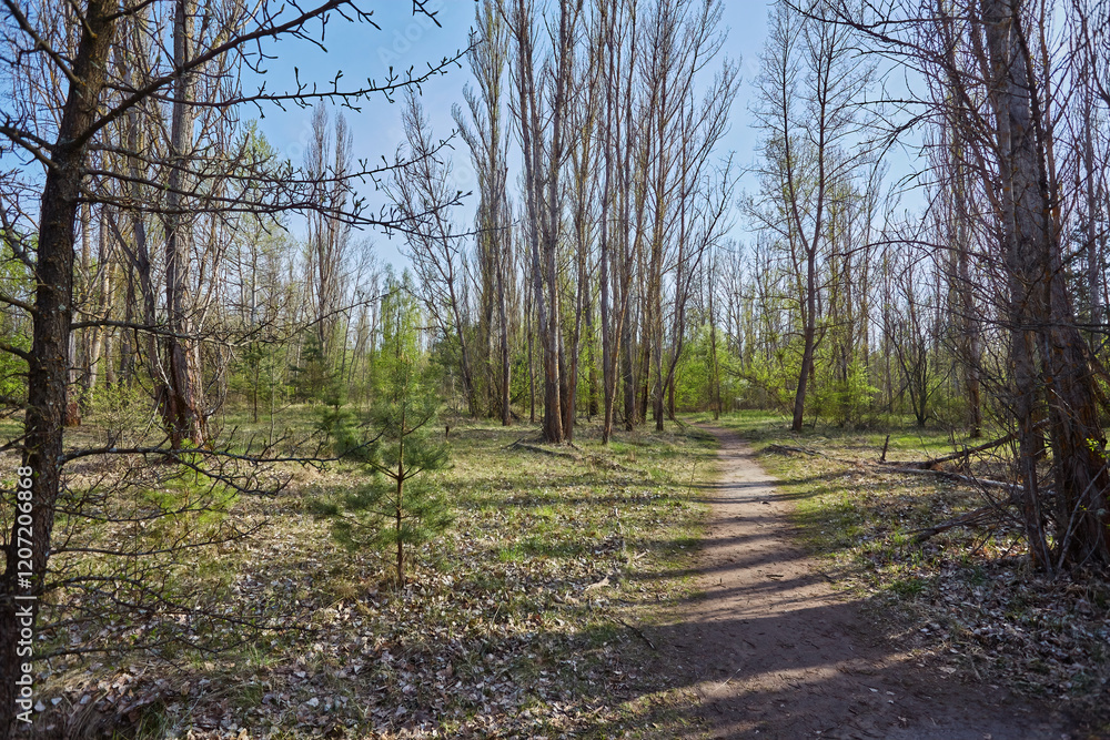 Nature Reclaiming Chernobyl Nature Reclaiming Chernobyl