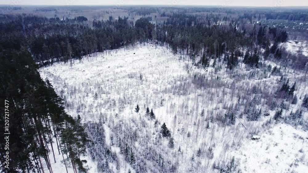 Aerial orbit establishes deforestation in winter, with snow covered trees and cleared land visible in the landscape, rectangular patch missing Aerial orbit establishes deforestation in winter, with snow covered trees and cleared land visible in the landscape, rectangular patch missing