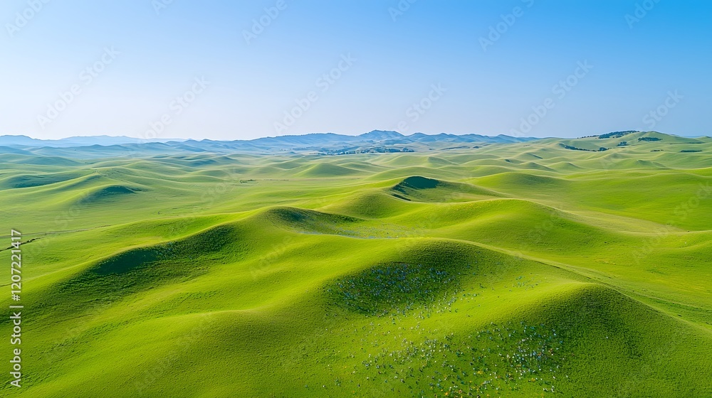 Obraz premium Breathtaking panoramic view of a lush vibrant green meadow filled with blooming wildflowers set against a clear azure sky with wispy clouds Serene