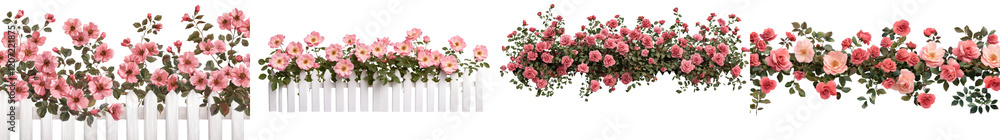 Obraz premium Vibrant Red and Pink Rose Bouquet Blooming in Floral Arrangement