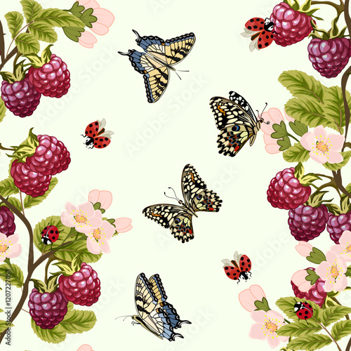 Illustration with raspberries and butterflies.Ripe raspberries and multicolored butterflies on a color background in a vector pattern.