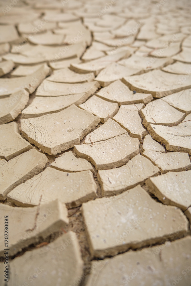 Obraz premium Cracked Earth