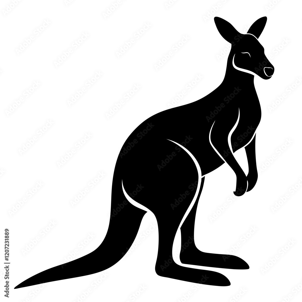 kangaroo illustration