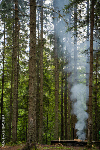 Smoke and fire in the Forest