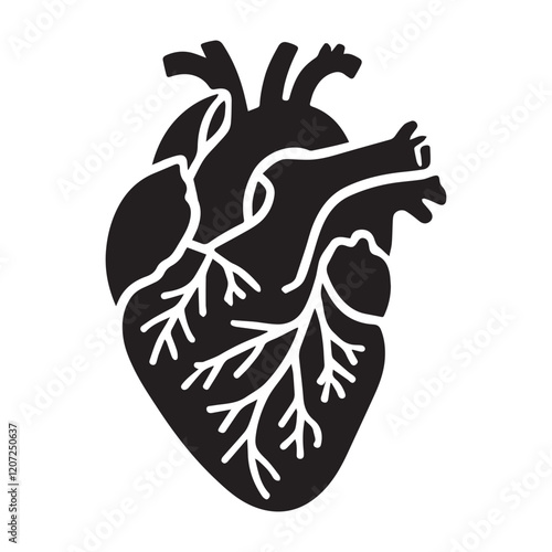 anatomical heart vector clip art flat design.