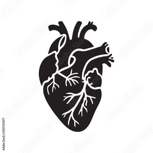 anatomical heart vector clip art flat design.