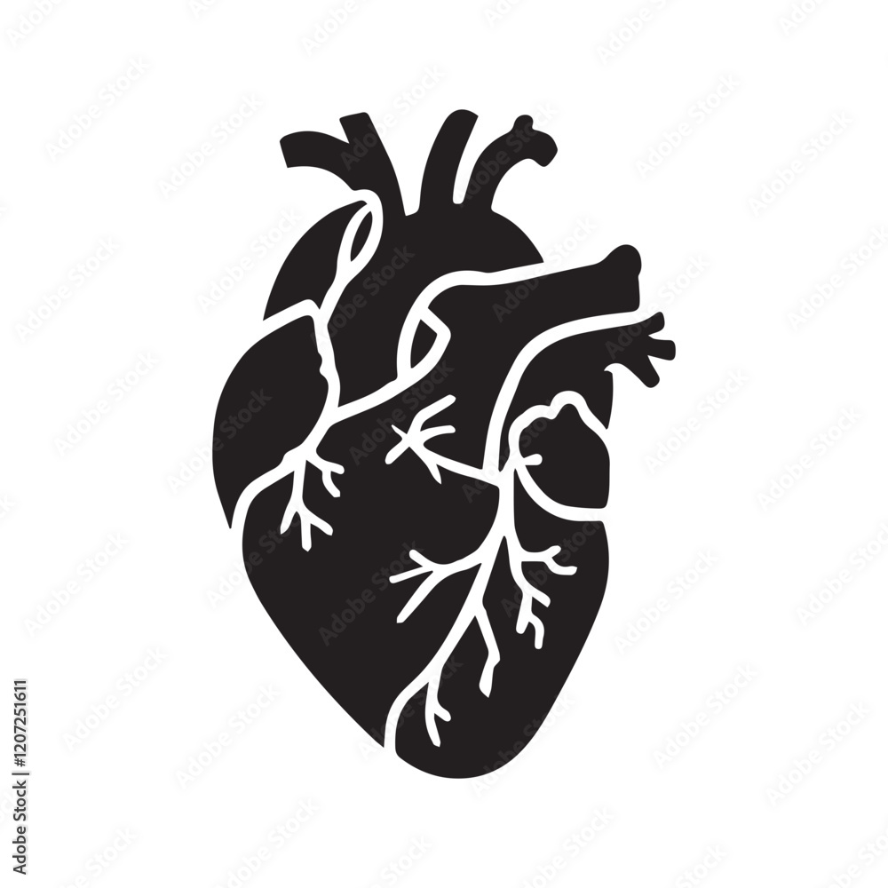 anatomical heart vector clip art flat design. anatomical heart vector clip art flat design.